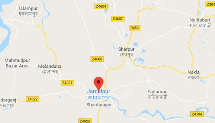 জামালপুরের সরিষাবাড়িতে ট্রাক খাদে পড়ে নিহত ৩