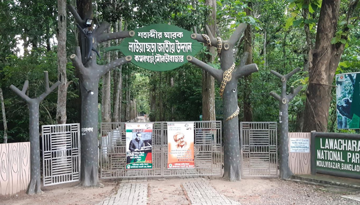 করোনায় স্থবির মৌলভীবাজারের পর্যটন শিল্প