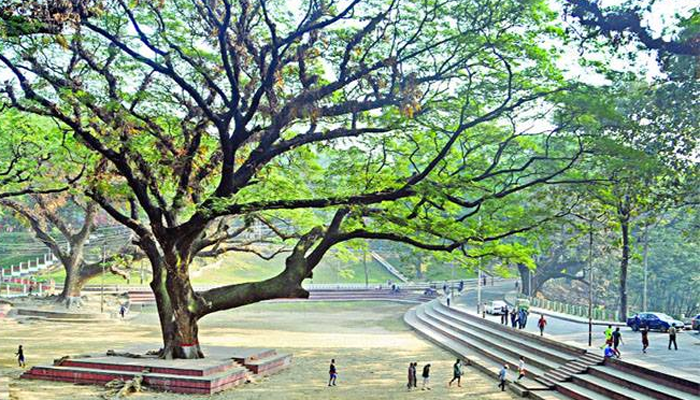 হাসপাতাল না করার ঘোষণা আসতে পারে