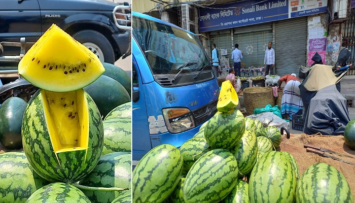 ঢাকার গরমে হলুদ তরমুজ!
