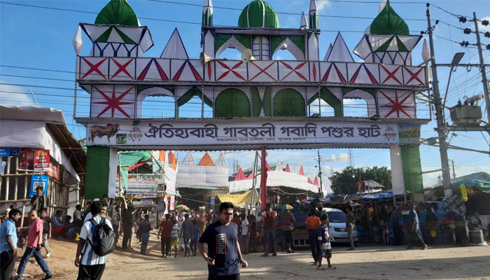 বড় আকারের গরু উট-দুম্বায় আকর্ষণ