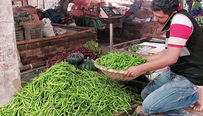 কাঁচা মরিচের কেজি ১০০০ টাকা!