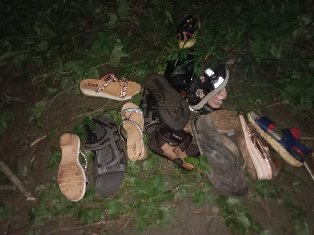 বাল্কহেডের ধাক্কায় পিকনিকের ট্রলারডুবি