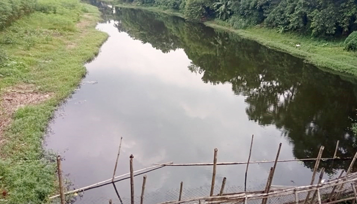 কুষ্টিয়ার খরস্রোতা হিসনা নদী এখন মরা খাল