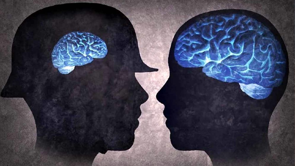 যেভাবে ছোট হয়ে আসছে মানুষের মস্তিষ্ক!