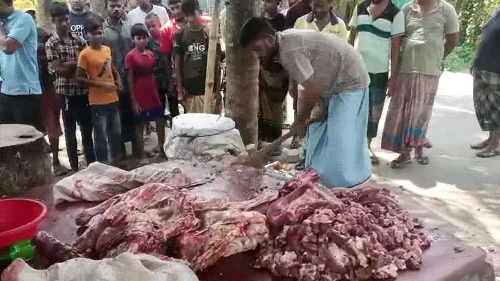 সাতক্ষীরায় রোগাক্রান্ত গরুর মাংস বিক্রি 
