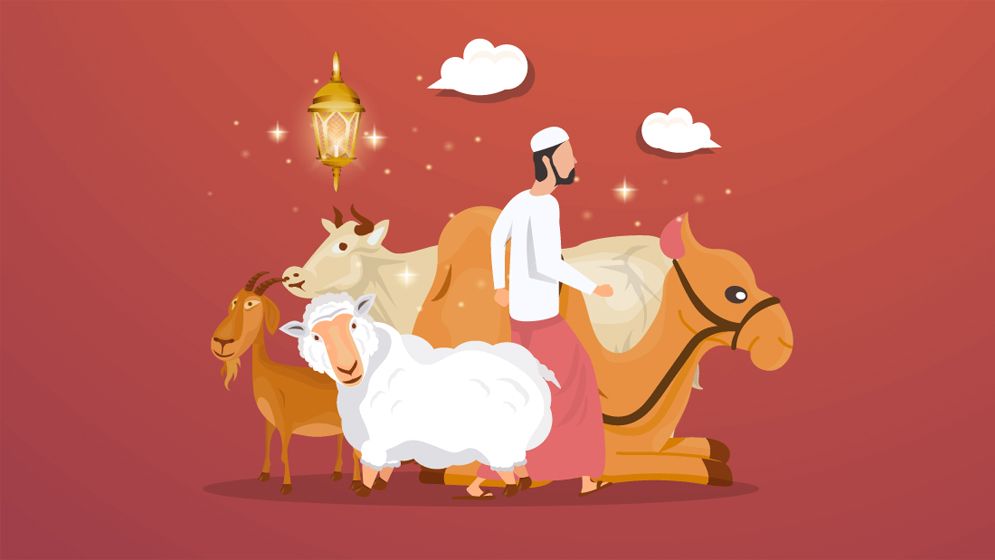 কী পরিমাণ সম্পদ থাকলে কোরবানি দেয়া ওয়াজিব?