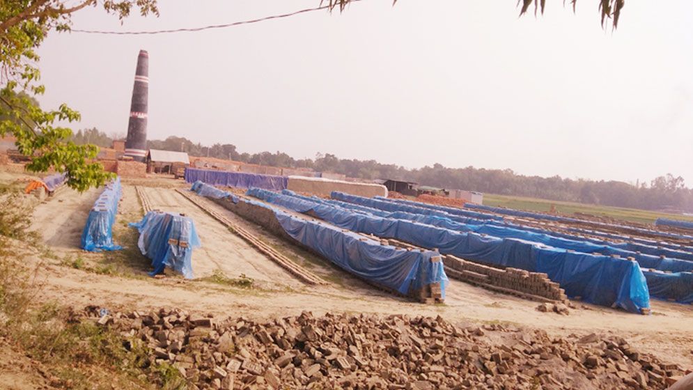 পাবনায় ৫০ বিঘা ফসলি জমি দখল করে ইটভাটা, অভিযোগ করেও হচ্ছেনা সুরাহা