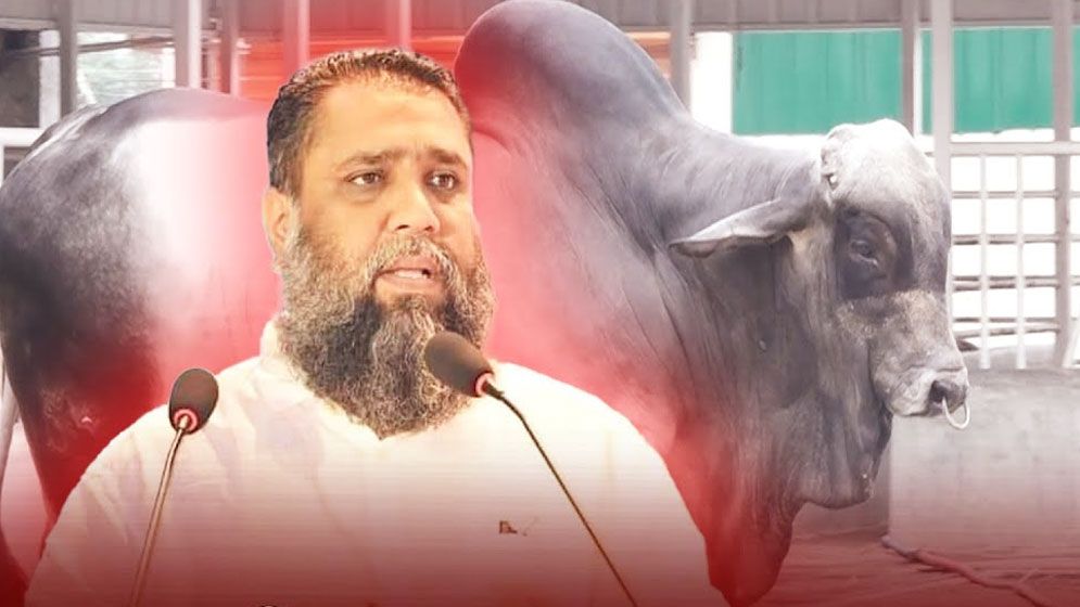 উখিয়া দিয়ে চোরাই গরু আনেন সাদিক এগ্রোর ইমরান