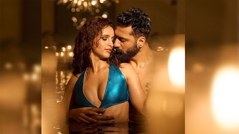 ভিকির সঙ্গে উত্তাপ ছড়াচ্ছেন তৃপ্তি