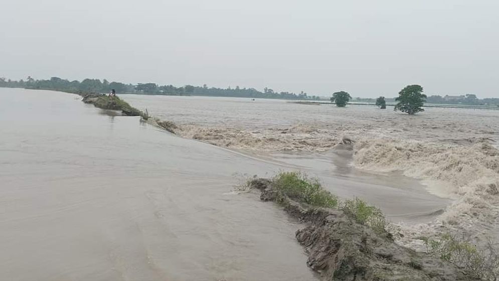 পাইকগাছার বাঁধ ভেঙে লোকালয়ে পানি, ফসলের ব্যাপক ক্ষয়ক্ষতি