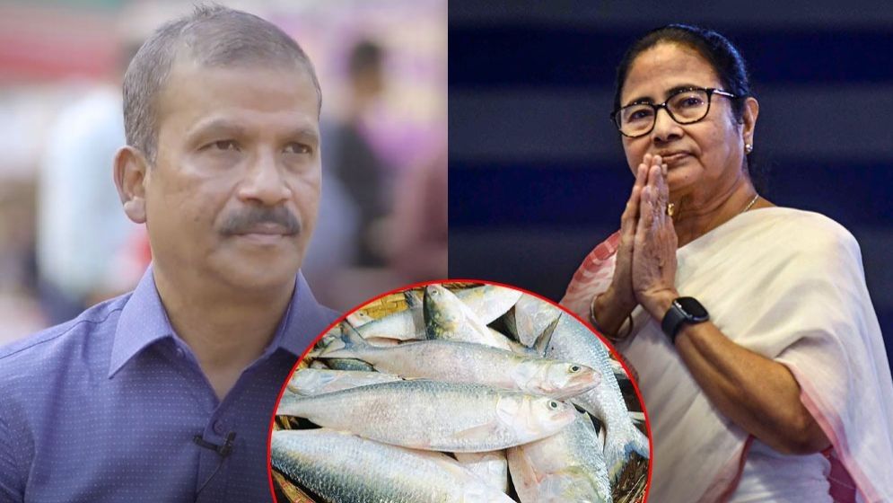 ইলিশ পাঠিয়ে মমতাকে কী রক্ষা করেছে ঢাকা? জবাব দিলেন আসিফ নজরুল