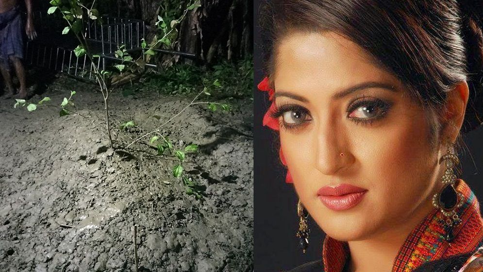 জানা গেল হুমায়রা হিমুর মৃত্যুর কারণ