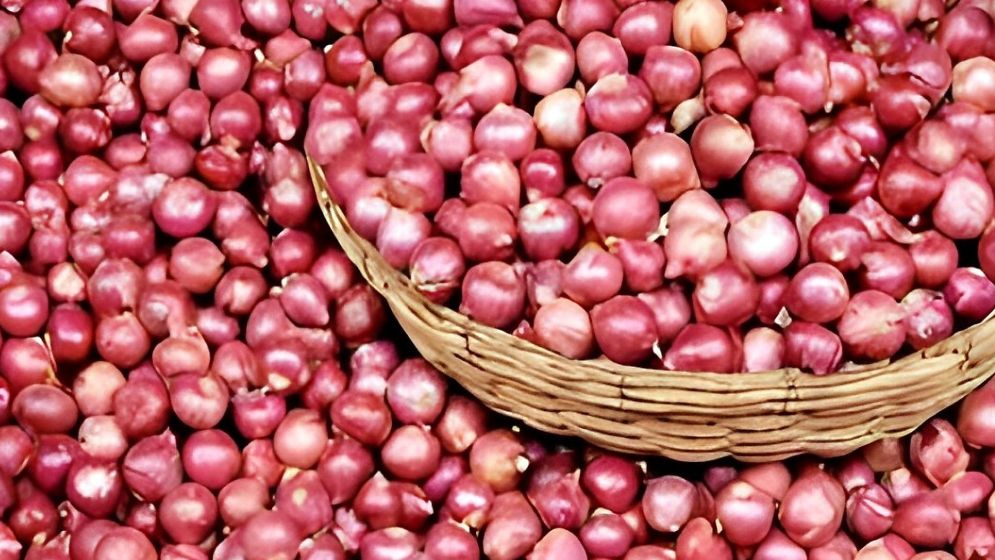 পেঁয়াজের দাম কেজিতে কমলো ১৫ টাকা