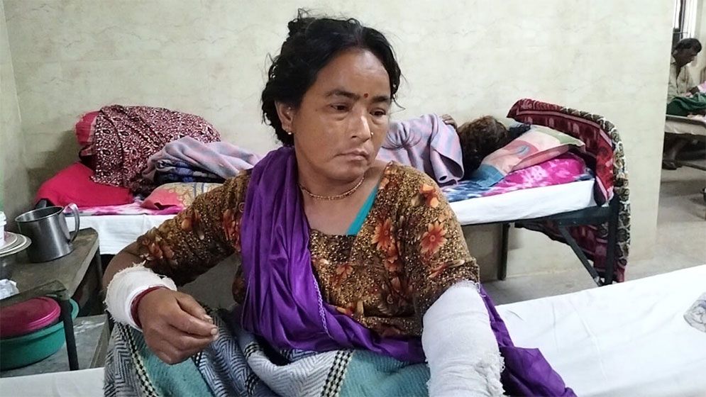 শিয়ালের কামড়ে নারীসহ আহত ১৪