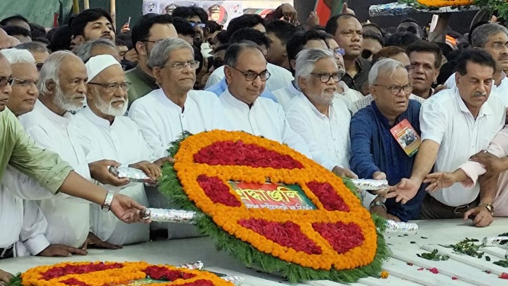 অন্তর্বর্তী সরকারের প্রশংসা করে যা বললেন মির্জা ফখরুল