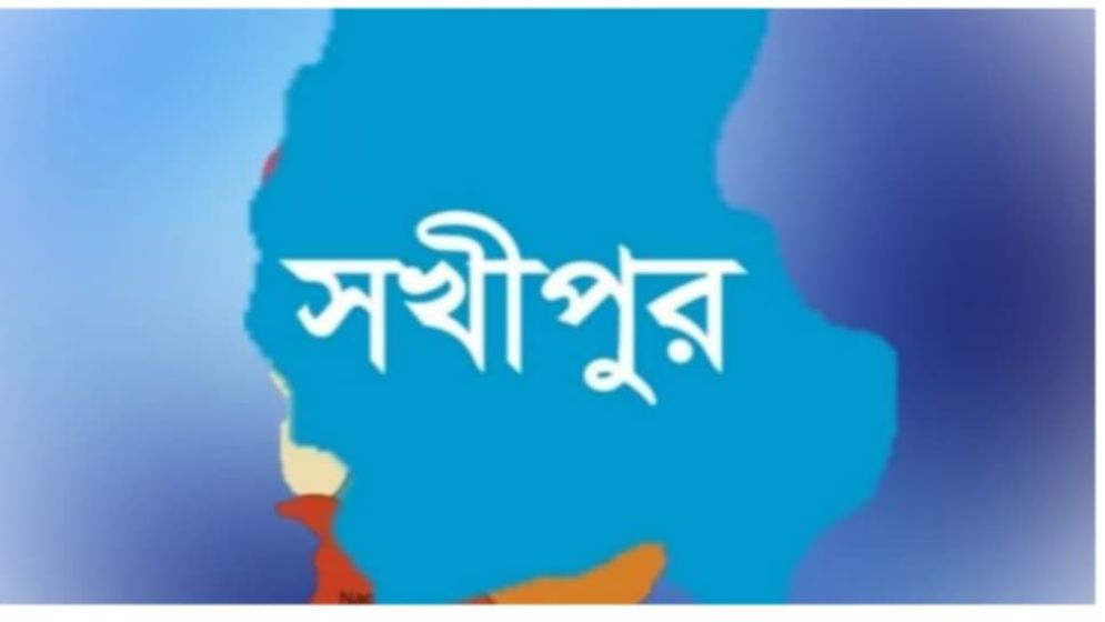 সখীপুরে সড়ক দুর্ঘটনায় নিহত ১
