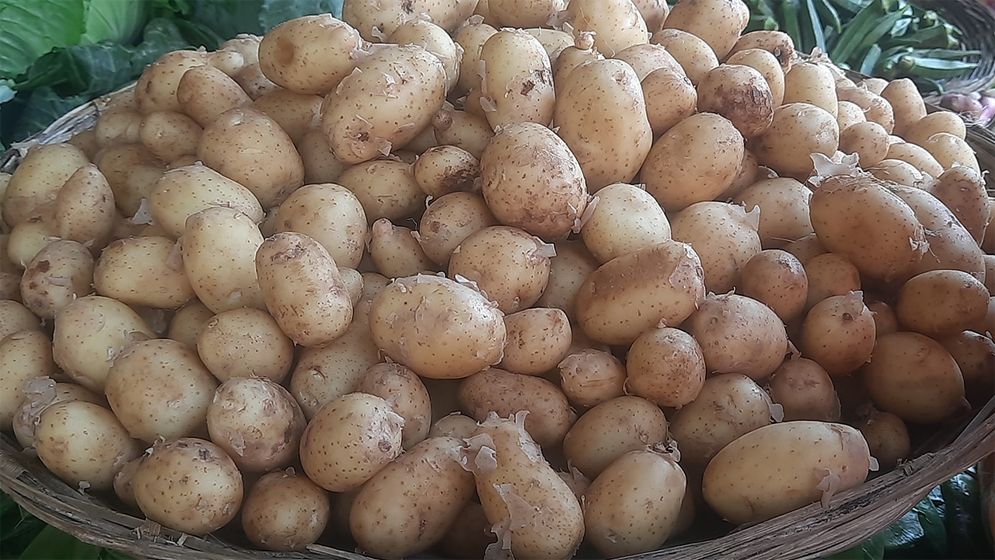কবে কমবে আলুর দাম, জানা গেলো