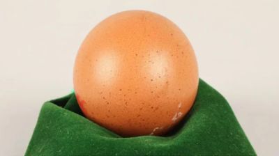 একটি ডিমের দাম ৩০ হাজার টাকা!