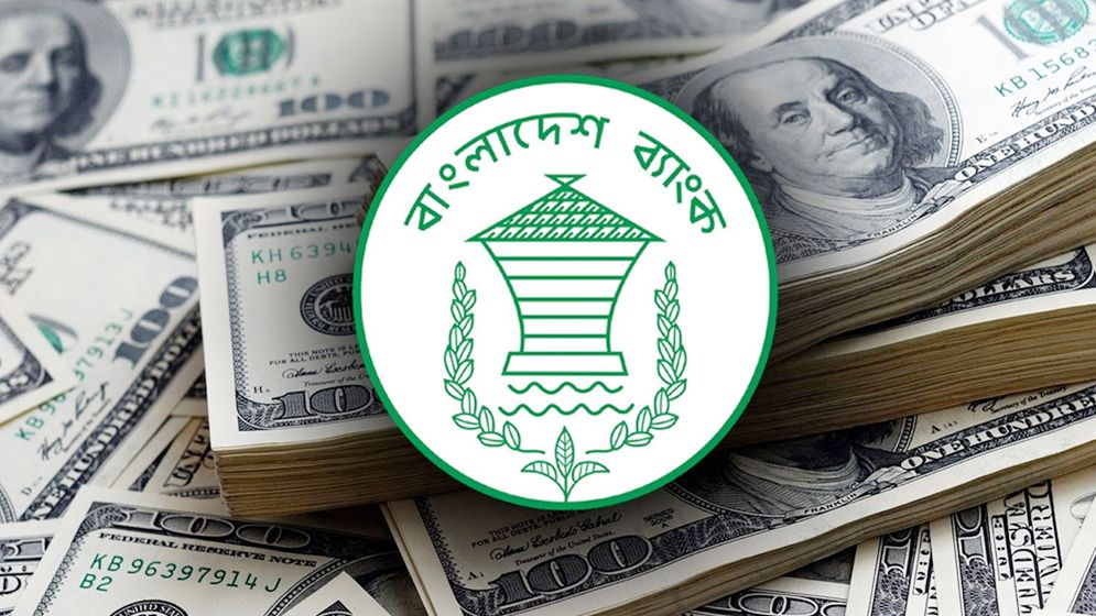 ডলারের দামে অস্থিরতার কারণ জানাল কেন্দ্রীয় ব্যাংক