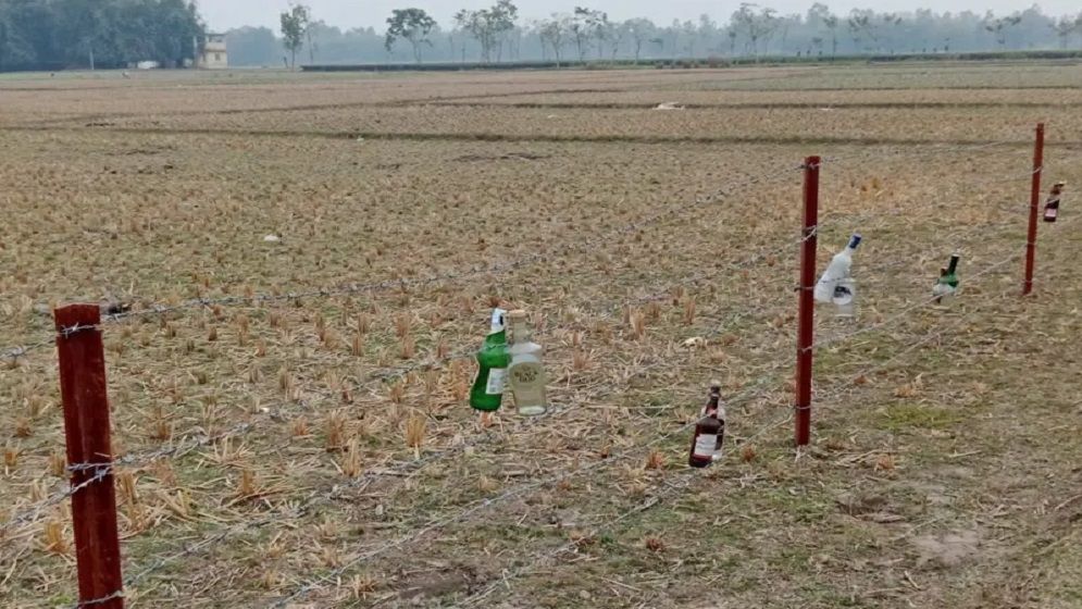 সীমান্তে কাঁটাতারের বেড়ায় কাচের বোতল কেন ঝুলিয়েছে বিএসএফ?