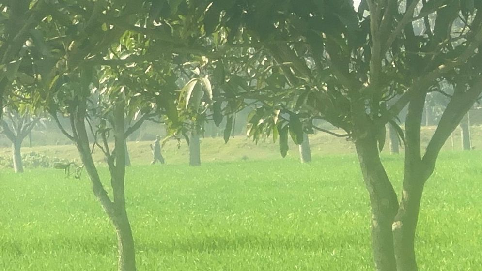 চাঁপাইনবাবগঞ্জ সীমান্তে সতর্ক অবস্থানে বিজিবি, পরিস্থিতি শান্ত