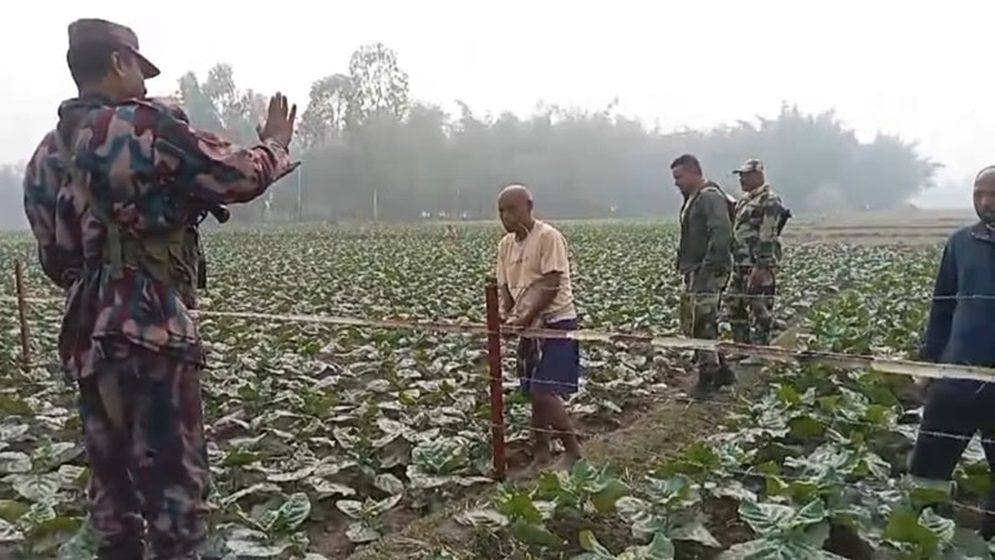 এবার সেই কাঁটাতারের বেড়ায় বাঁশ বাঁধলো ভারতীয়রা, ভিডিও ভাইরাল
