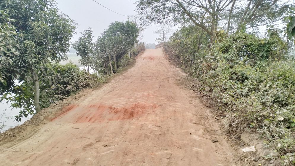 মেঘনায় তুলাতুলীর রাস্তার বেহাল দশা, ভোগান্তি চরমে