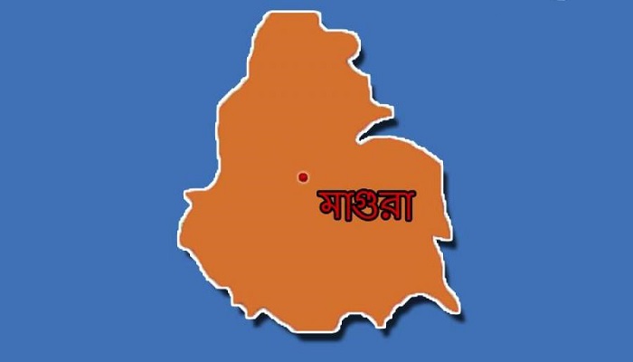 মহম্মদপুরে ইঞ্জিনচালিত ট্রলির ধাক্কায় শিশু নিহত
