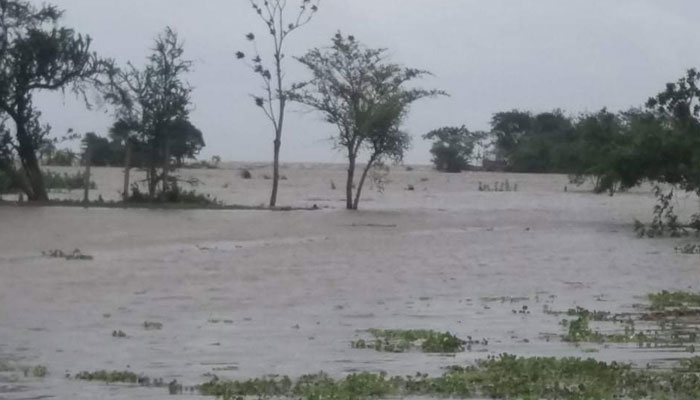 তজুমদ্দিনে আমফানের প্রভাবে চরাঞ্চল প্লাবিত