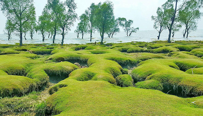 সাগর-পাহাড়-অরণ্যের সঙ্গে মিতালী