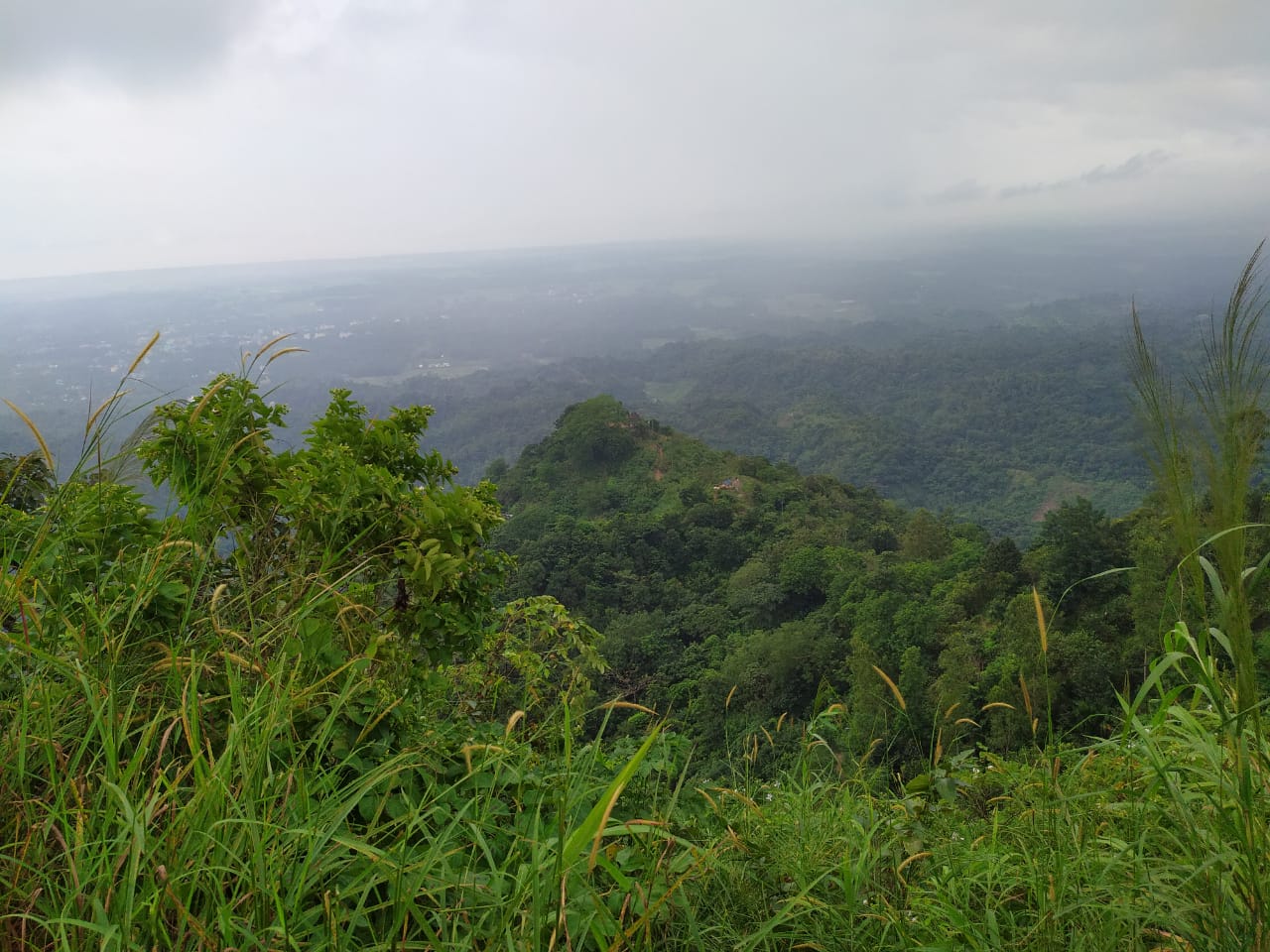 সাগর-পাহাড়-অরণ্যের সঙ্গে মিতালী