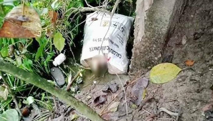 বাজারের ব্যাগে মিলল নবজাতকের মরদেহ