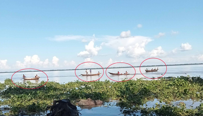 বাউফলে অবাধে চলছে ইলিশ মা ইলিশ শিকার