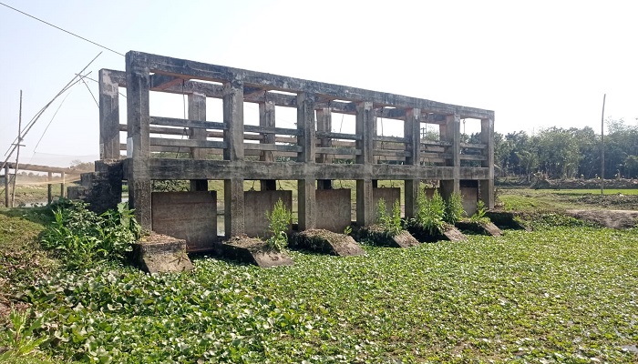 ফুলপুরে স্লুইস গেট এখন কৃষকের গলার কাঁটা