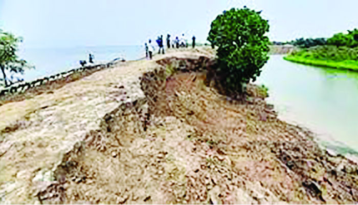 হাওড়ের ফসলরক্ষা বাঁধের কাজে অস্বাভাবিক ধীরগতি