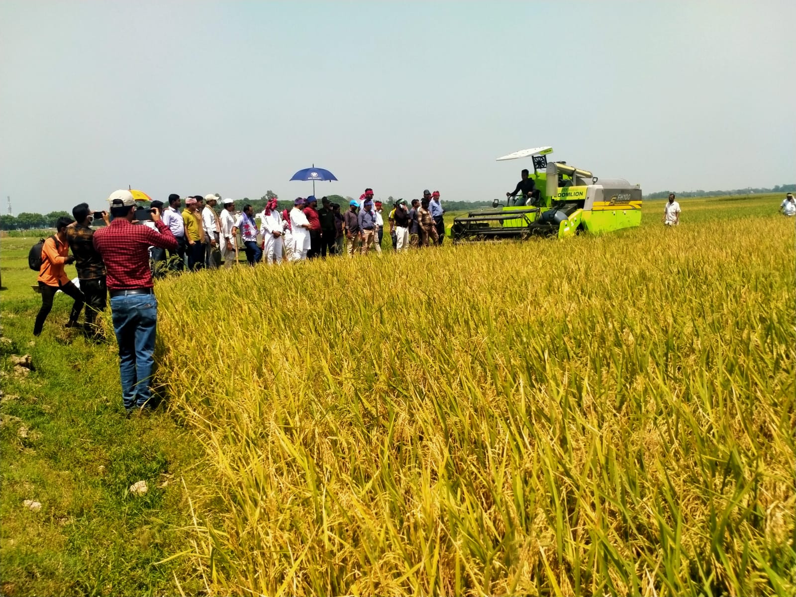 বিশ্বম্ভরপুরে উৎসব মুখর পরিবেশে বোরোধান কাটা উদ্বোধন