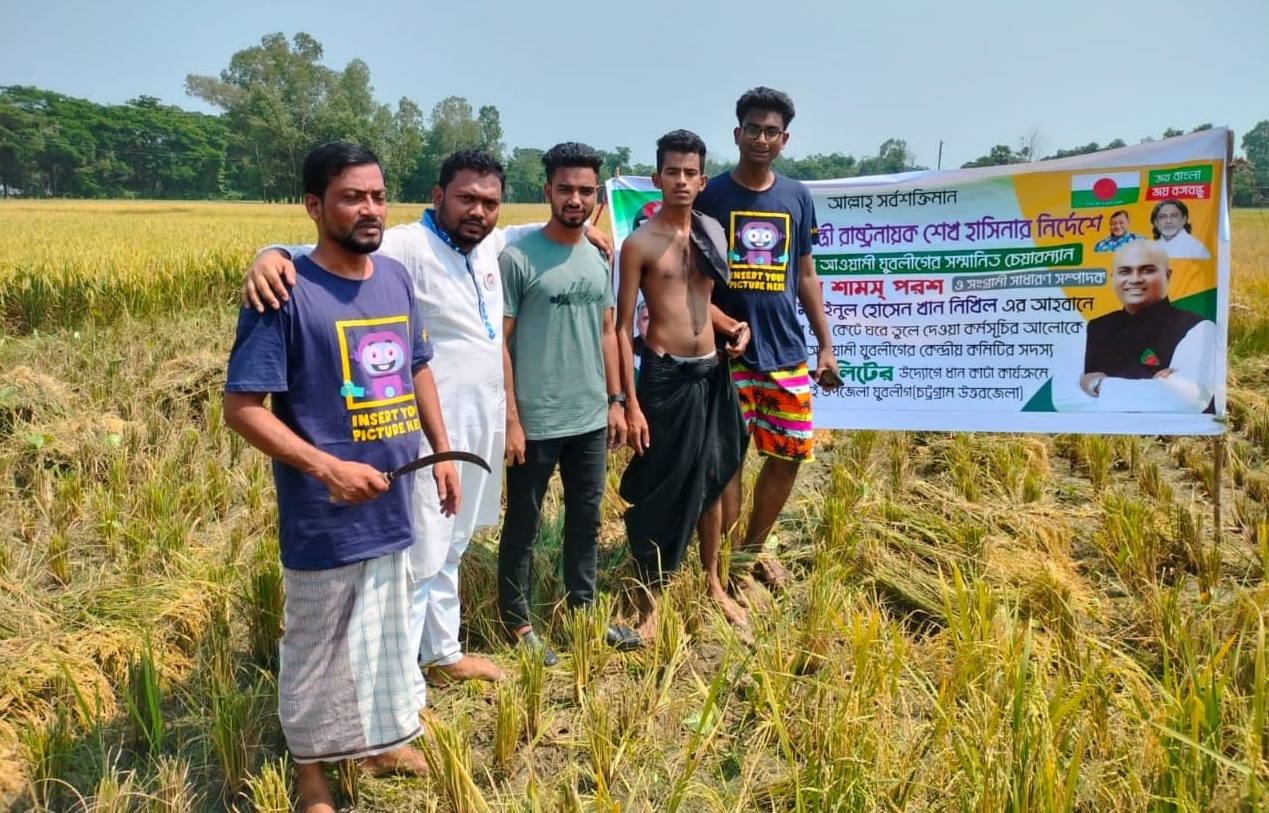 মিরসরাইয়ে কৃষকের ধান কেটে বাড়ি পৌঁছে দিয়েছে যুবলীগ