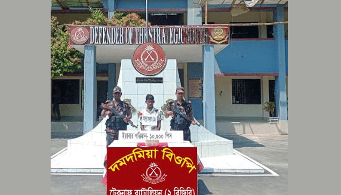 টেকনাফে বিজিবির অভিযানে ২ লাখ ইয়াবাসহ আটক ১