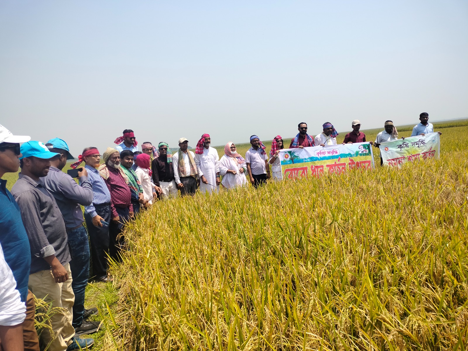বিশ্বম্ভরপুরে উৎসব মুখর পরিবেশে বোরোধান কাটা উদ্বোধন