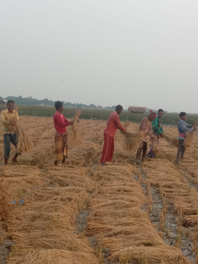 সাতক্ষীরায় কৃষকের মুখে তৃপ্তির হাসি