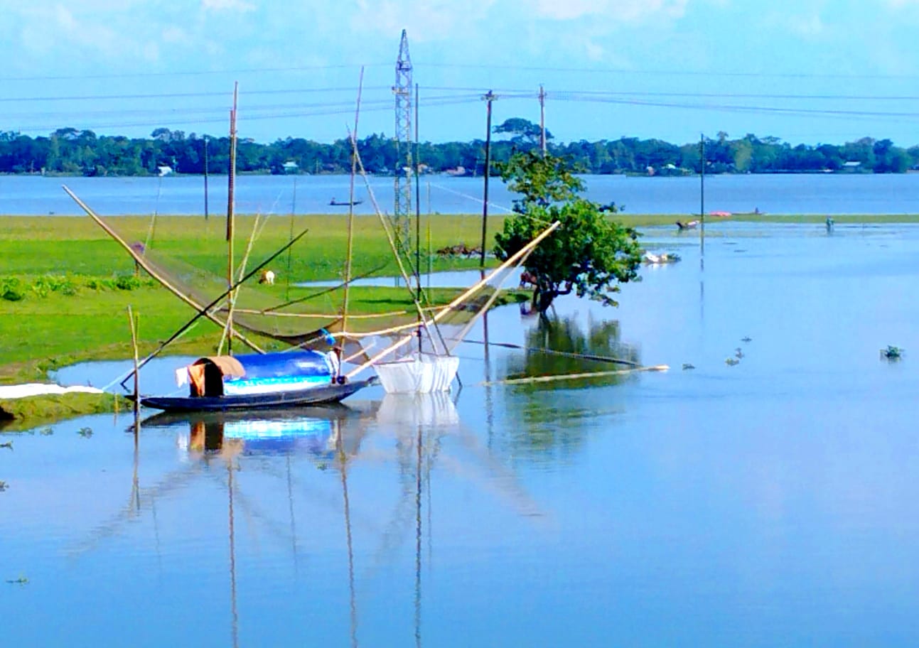 শান্তিগঞ্জে হাওরে চলছে মাছ ধরার উৎসব