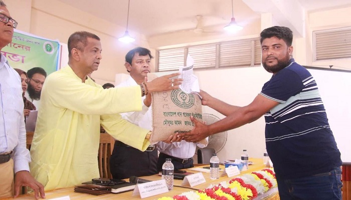নান্দাইলে কৃষকের মাঝে উফশী আমন ধানের বীজ বিতরণ