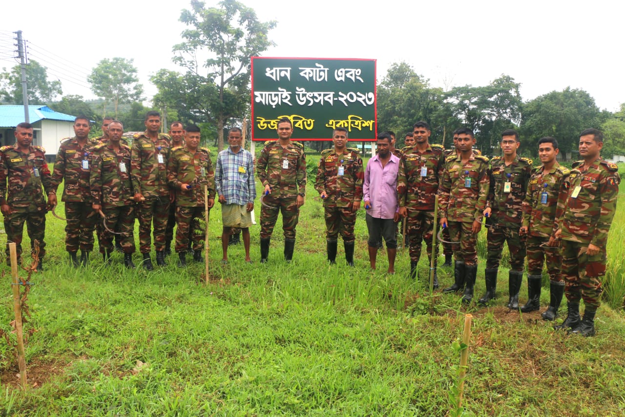 ধান কাটা উৎসবের আয়োজন করেছে সেনাবাহিনী