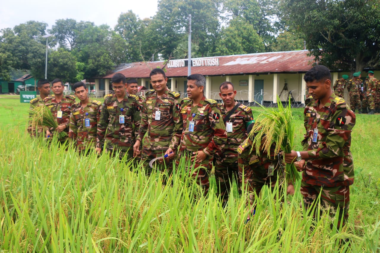ধান কাটা উৎসবের আয়োজন করেছে সেনাবাহিনী