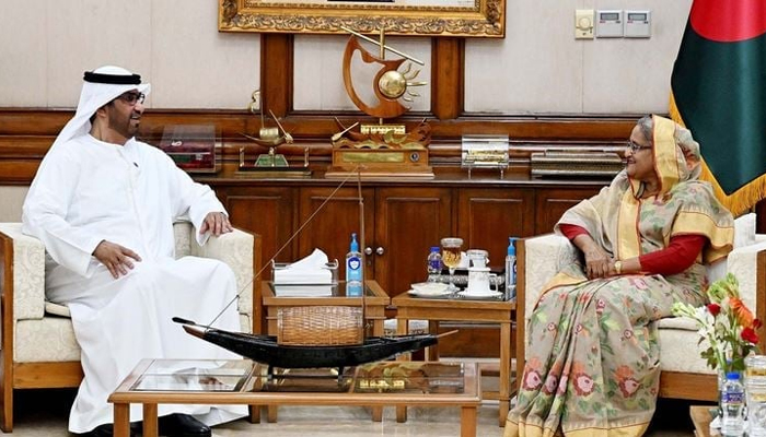 নবায়নযোগ্য জ্বালানিতে বিনিয়োগে আগ্রহী আমিরাত