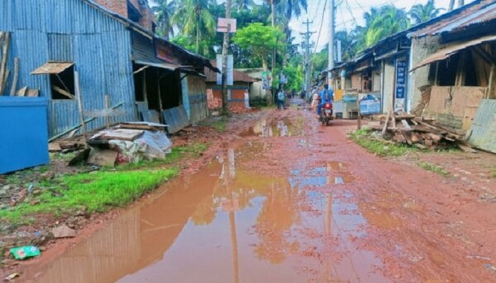 কাউখালীতে সড়কের বেহাল দশা