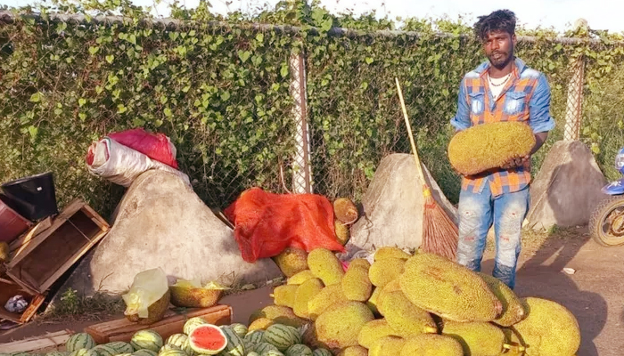 শ্রীলঙ্কায় কাঁঠাল খেয়ে এখন বেঁচে আছেন বহু মানুষ