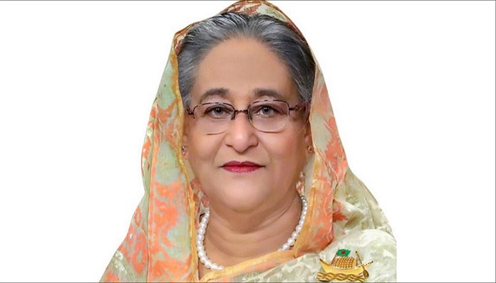 ঢাকায় পৌঁছেছেন প্রধানমন্ত্রী