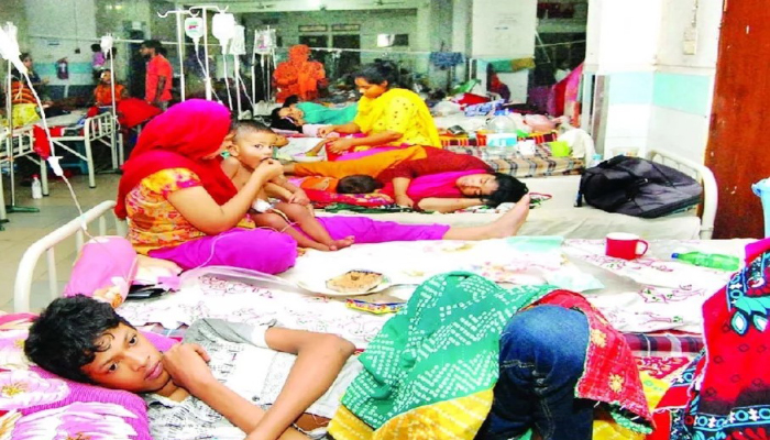 ডেঙ্গু আক্রান্তদের ঢাকায় স্থানান্তর না করার নির্দেশ